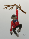 Distinuished Animal : Chimpanzee